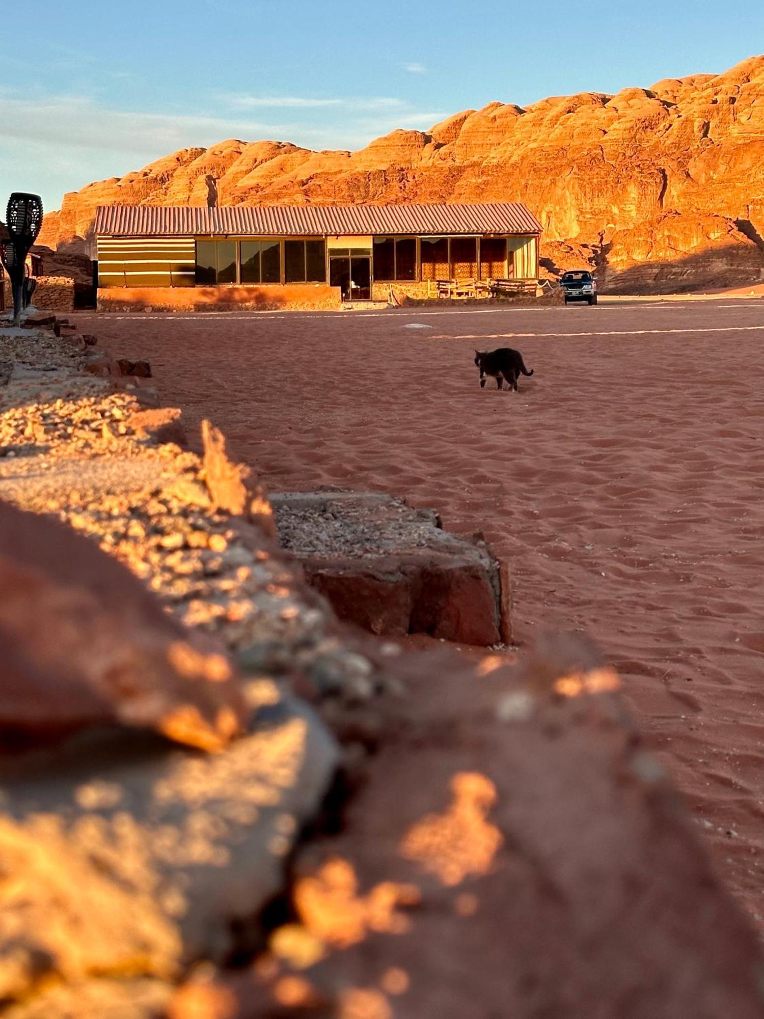 Hotel Salameh'S Bedouin Camp Wadi Rum Exteriér fotografie